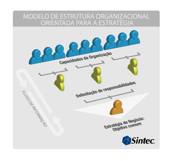 Modelo de Estrutura Organizacional